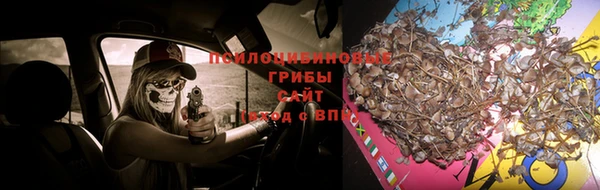 мдпв Кодинск