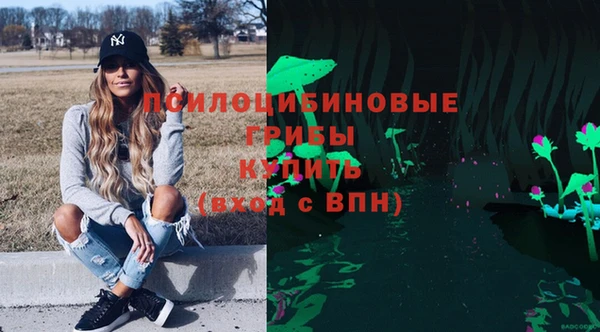 винт Аркадак