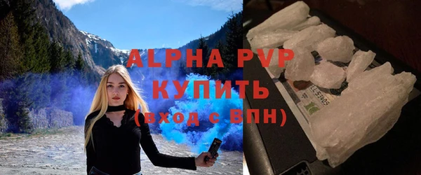 эйфоретик Иннополис
